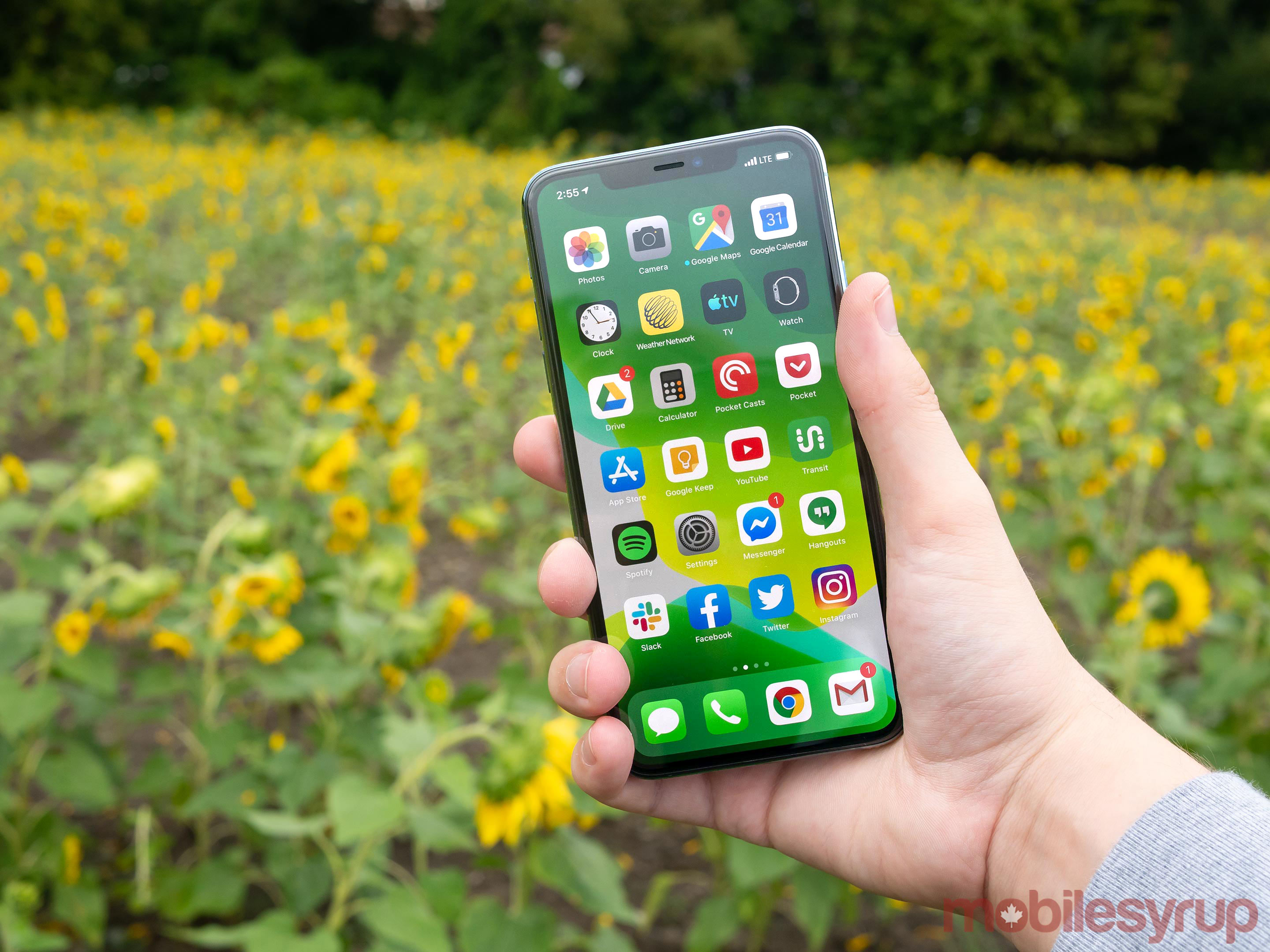 iphone 11 promax review